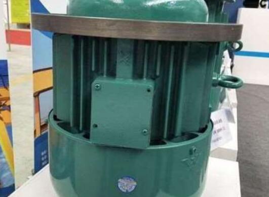 轴电流量对蜜桃视频在线观看视频电机的损坏有多大？