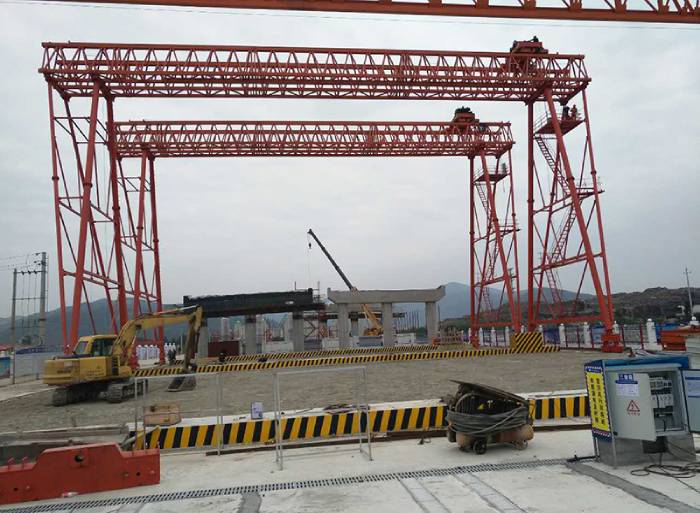  40t大跨度花架龙门蜜桃视频APP下载机